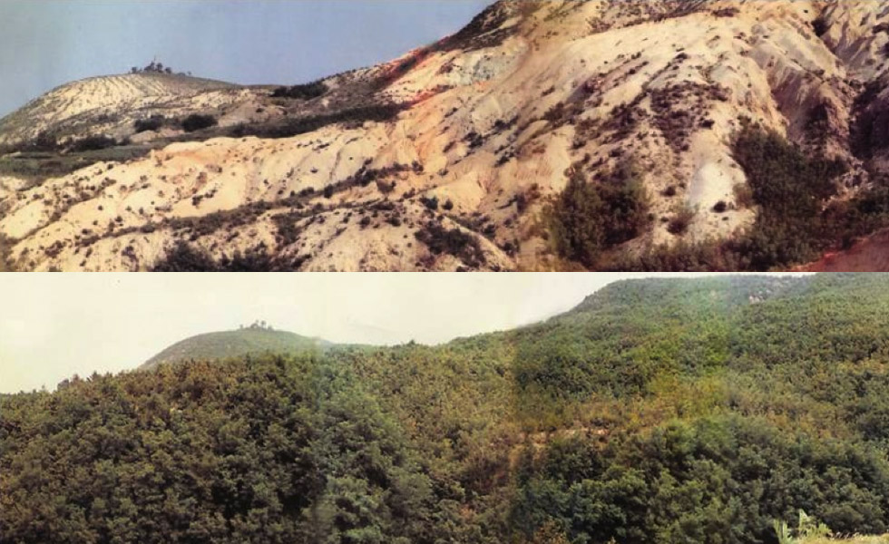 Same area before 1960 (top) and after 2000 (bottom)
